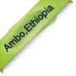 Third Ambo Logo